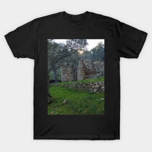 House on the Hill T-Shirt